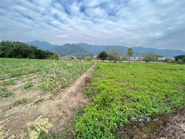 美濃農地-3
