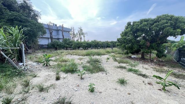 岡山農地-3