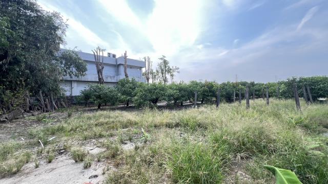 岡山農地-4