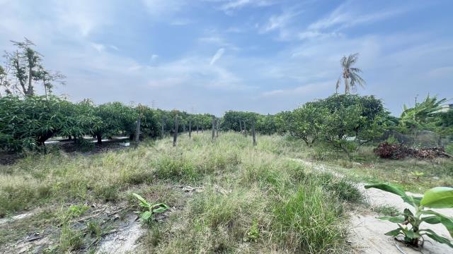 岡山農地-5