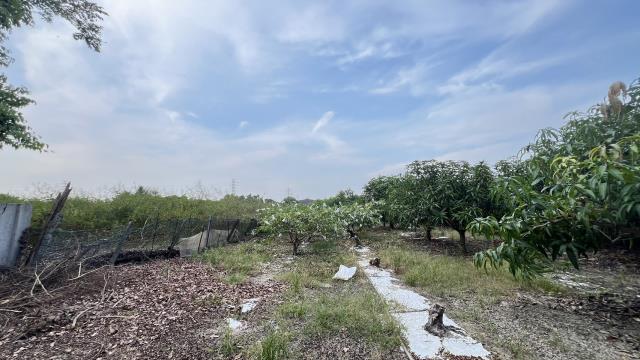 岡山農地-7