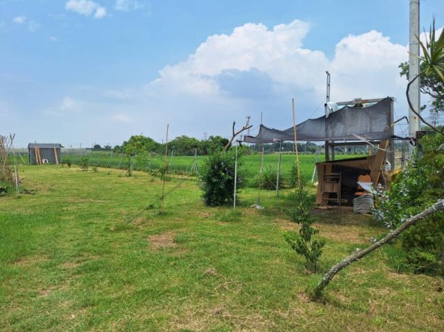 官田農地-5