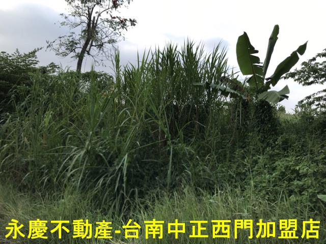左鎮農地-1