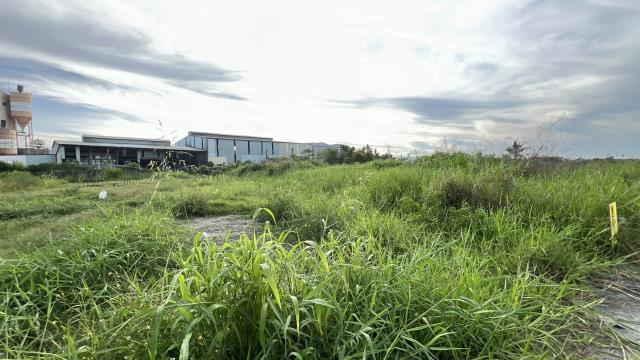 岡山農地-1