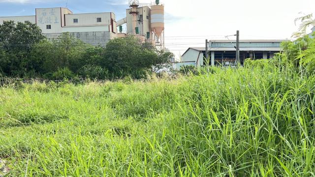 岡山農地-3