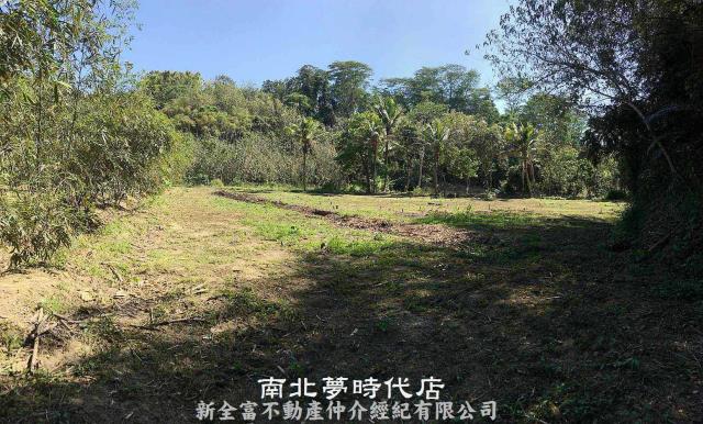 新化農地-2