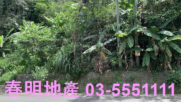 新竹林地-3
