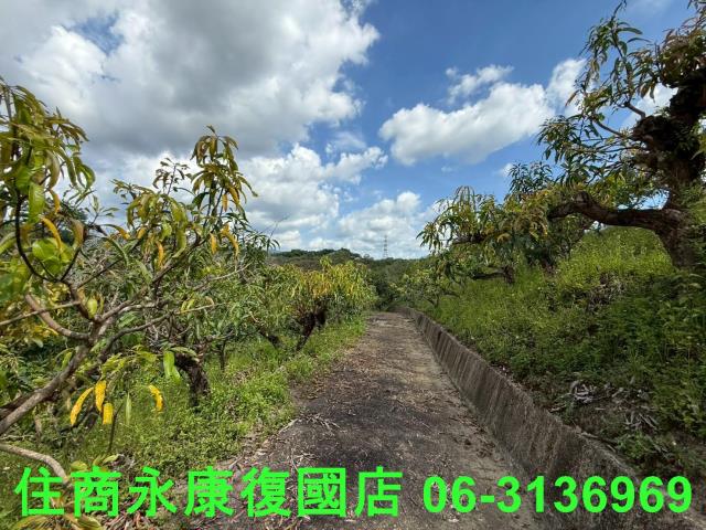 台南玉井農地-3