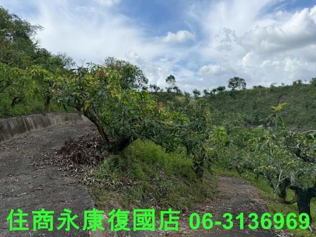 台南玉井農地-6