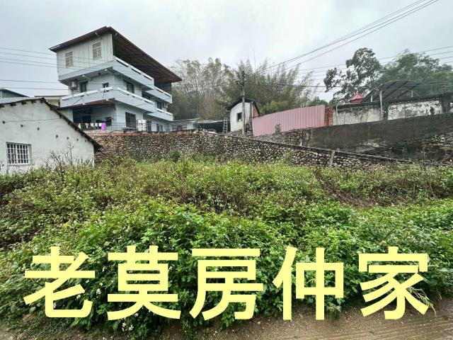 埔里建地-3