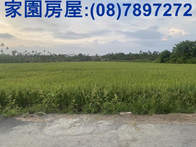 屏東農地-5