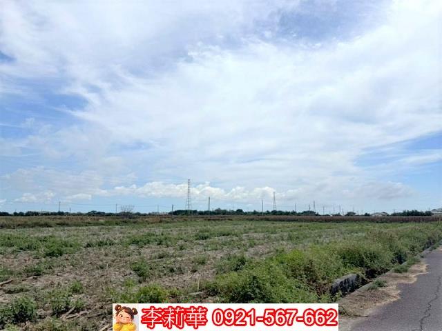 台南鹽水農地-9
