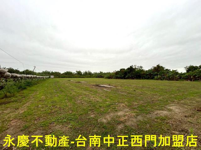 左鎮農地-9