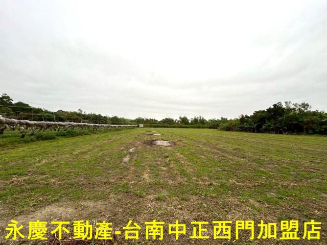 左鎮農地-10