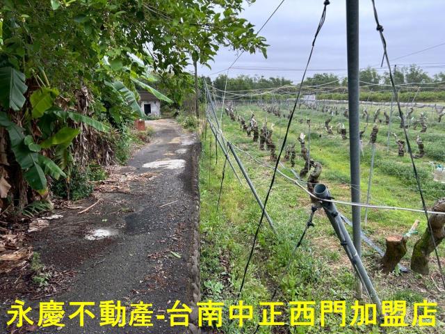 左鎮農地-2