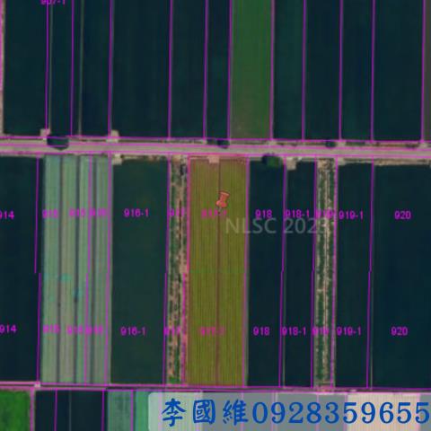 雲林西螺農地法拍-2