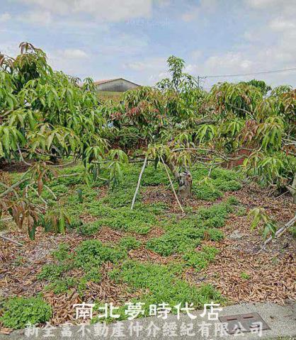 台南楠西建地-0