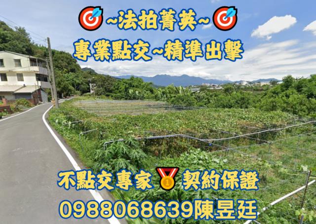 台中東勢法拍農地-0