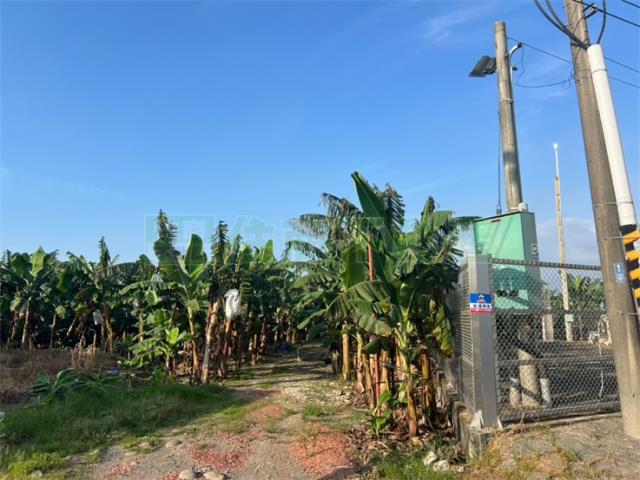 旗山農地-2