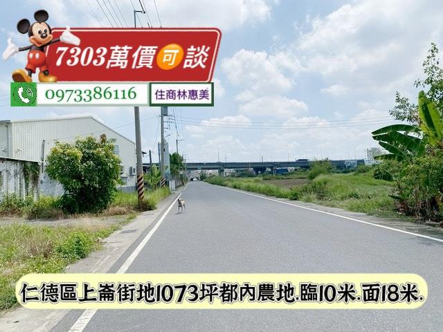 台南仁德農地-1
