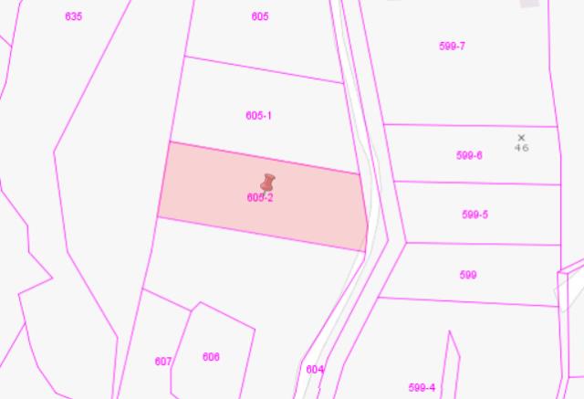 台中大甲法拍農地-2