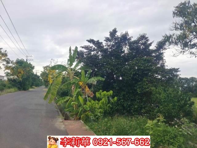 台南安定農地-2
