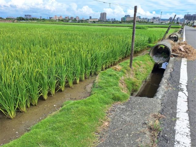 橋頭農地-0