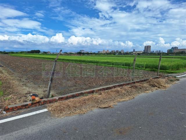 橋頭農地-4