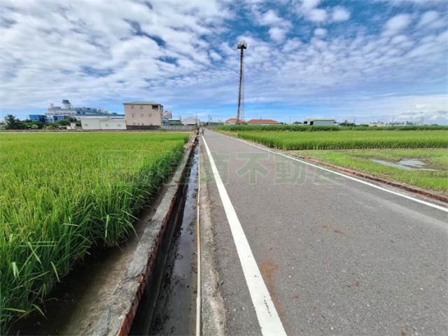 橋頭農地-6