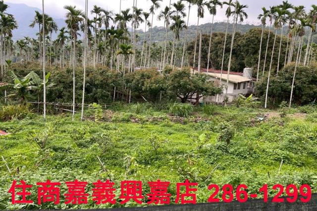 嘉義農地-1