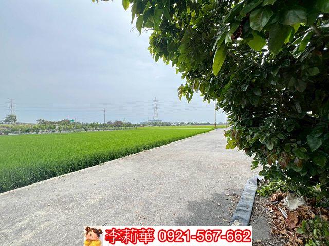 台南農地-1