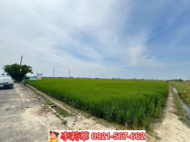 台南農地-4