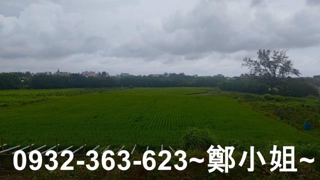 桃園大園農地-5