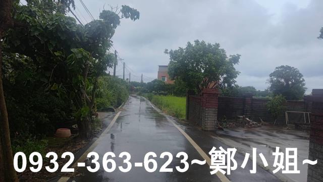 桃園大園農地-8