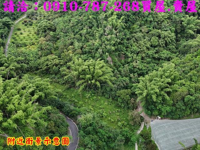 台南大內農地-2
