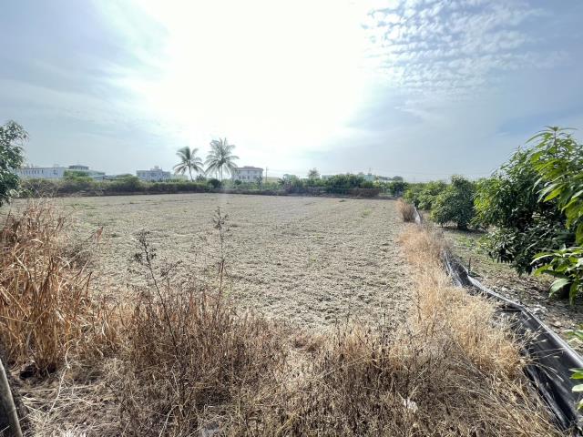 阿蓮農地-5