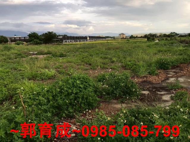 嘉義大林建地-10
