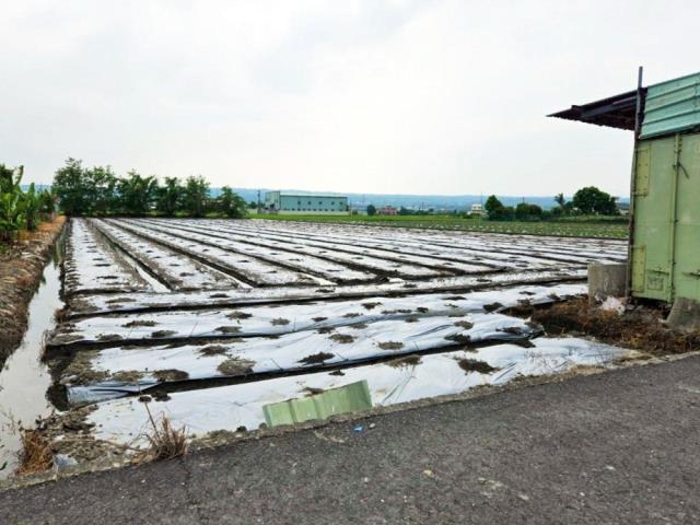 彰化芬園農地-1