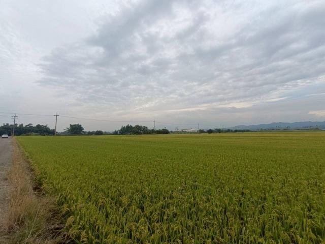 東山農地-2