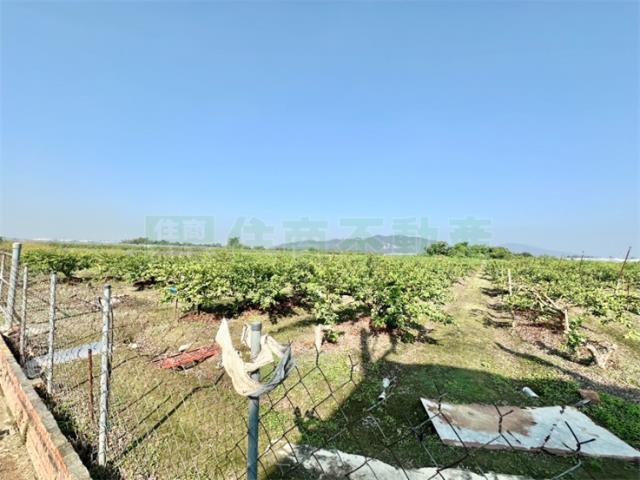 燕巢農地-2