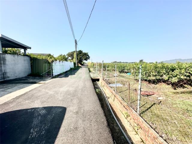 燕巢農地-4