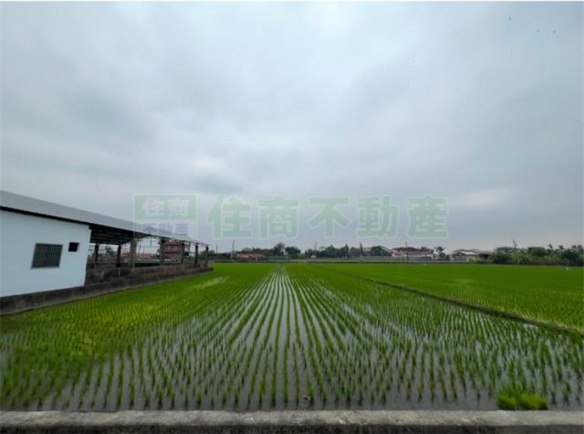 高雄美濃農地-3
