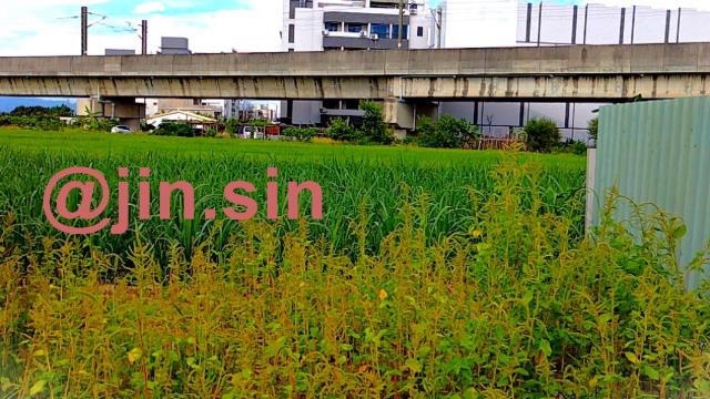 台南建地-3