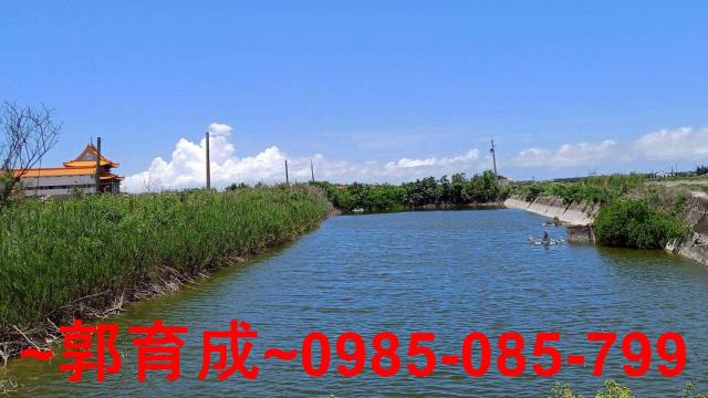 嘉義東石魚塭-7