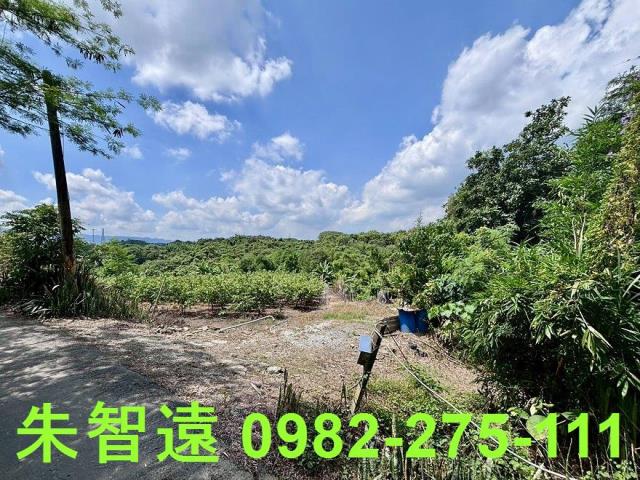 玉井建地-0