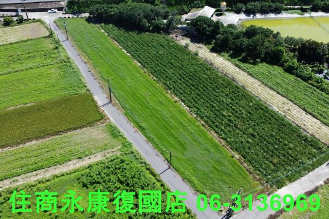 仁德農地-8