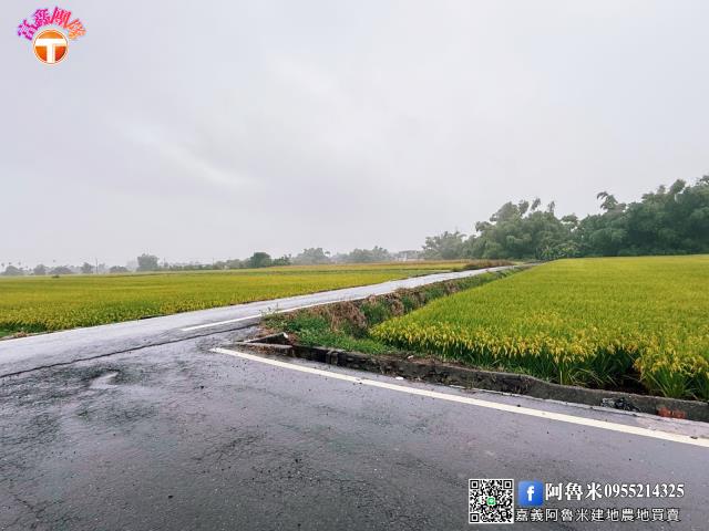 台南農地-1