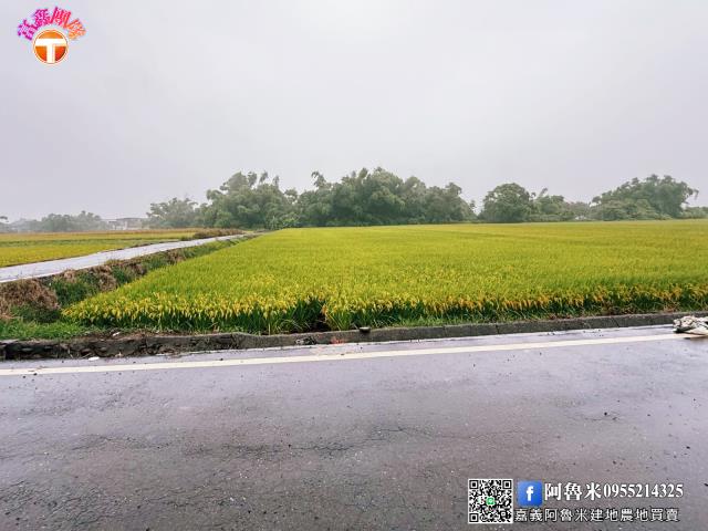 台南農地-2