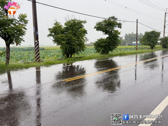 台南農地-3