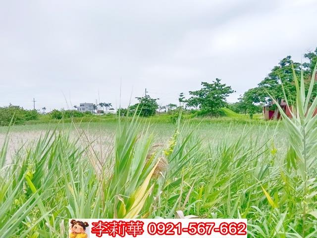 台南農地-11